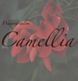Camellia@`JA`